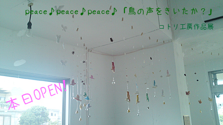 【芒種】 コトリ展開幕!