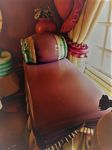 クリスマスにディズニーランドぉ~~~ クリスマスにディズニーランドぉ~~~