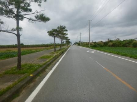 久々雨のちゅら島センチュリーラン 久々雨のちゅら島センチュリーラン