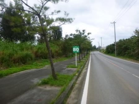 久々雨のちゅら島センチュリーラン 久々雨のちゅら島センチュリーラン