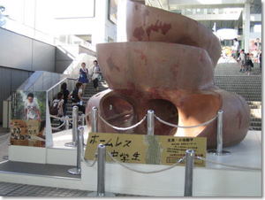 お台場
