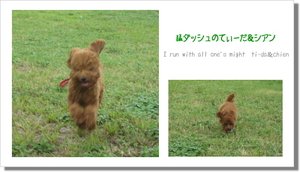 お父さんと、お母さん。。。
