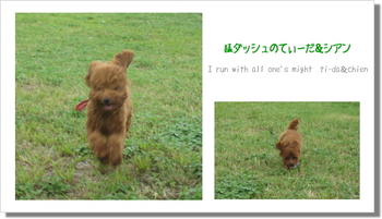 猛ダッシュ!