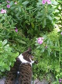 探しモノは何ですか？ 2008/08/07 13:28:26