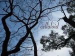 celluloider