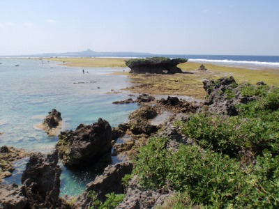 絶景!!!