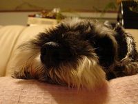 こんな感じ。 2008/07/16 13:18:16