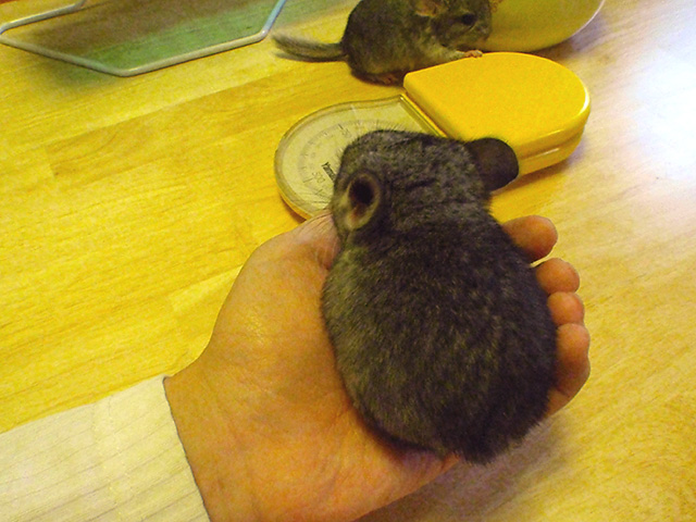 あだ名決めました