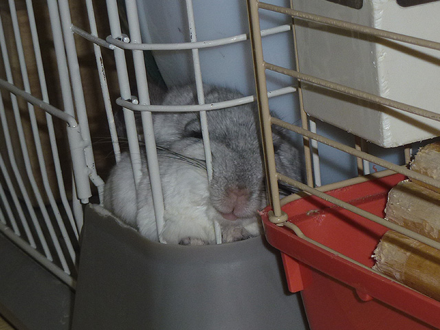 あっついの~