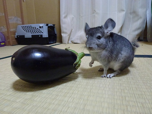 米ナス