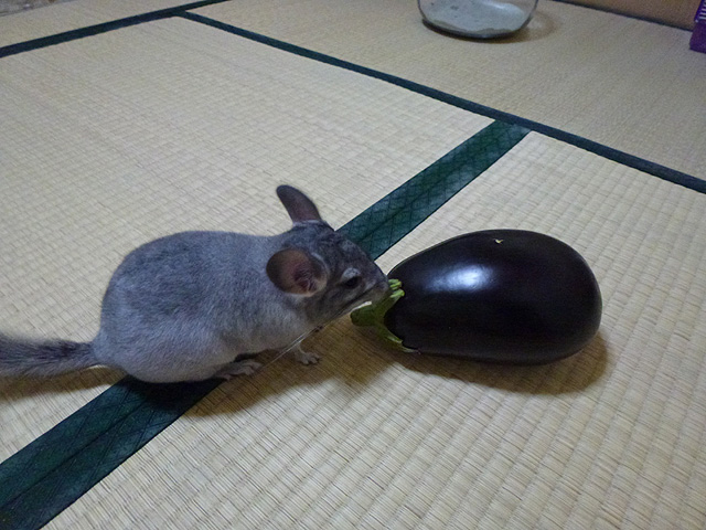 米ナス