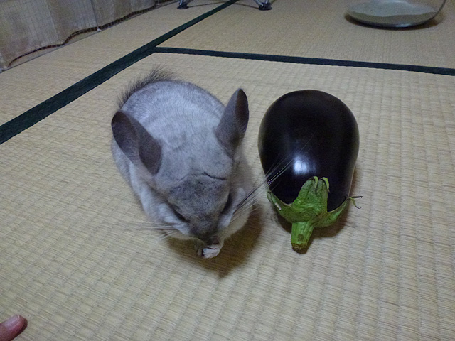 米ナス