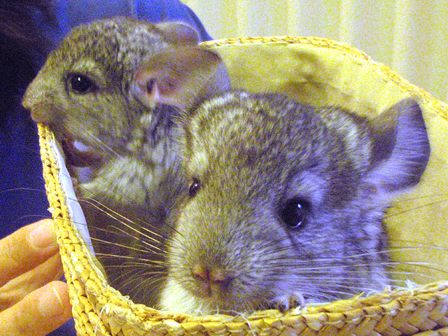 さようなら&ありがとう