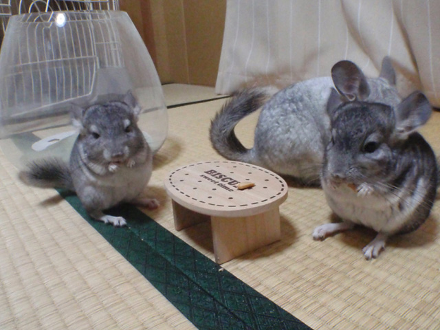 さようなら&ありがとう