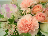 ピンクのお花❤ 2012/04/25 15:13:20