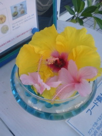 夏模様 2008/10/23 14:25:21