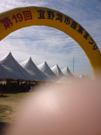 宜野湾産業祭り 2008/11/23 23:18:16