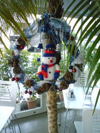 少しずつクリスマス 2008/12/01 20:34:09