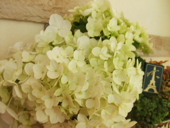 嵐の前の。。。