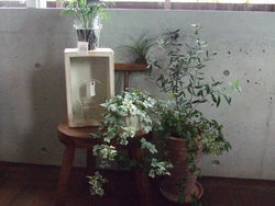 Cafe&Flowershop NEO