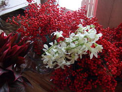 Cafe&Flowershop NEO