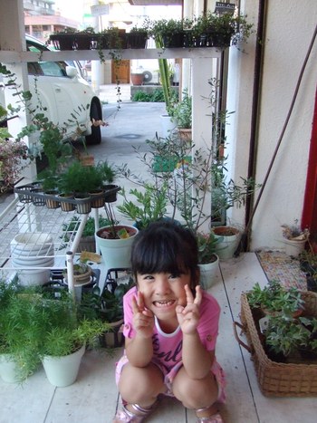 plants + nicoli