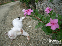 2008年07月18日