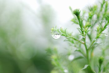 雨の日の過ごし方