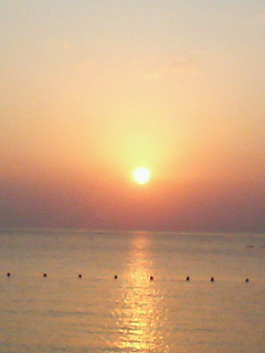 贅沢なディナー