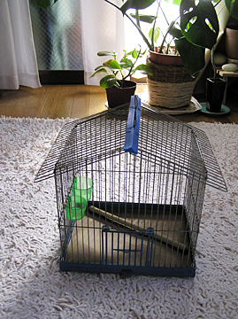 美しい鳥かご