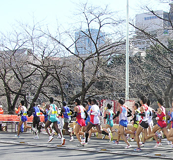 東京マラソン2008