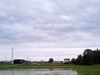雨の田植え 2008/06/03 16:25:43