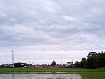雨の田植え
