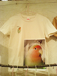 2007年個展「小鳥小屋」