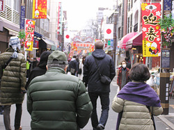 ファミリーツリーなお正月