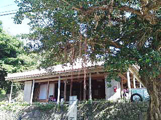 ムーチ日和