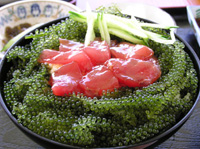 ひさしぶり!海ぶどう