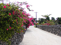 竹富島へ行こう。