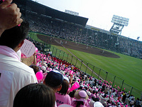 甲子園の夏 2008/08/05 21:47:19