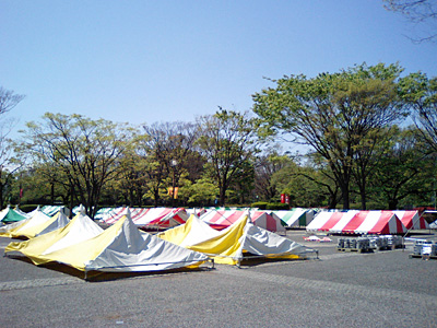コトリ工房、準備完了!