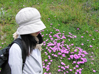 見えない 2008/06/09 21:49:04