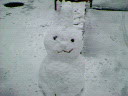 雪便り