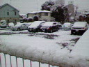 雪便り