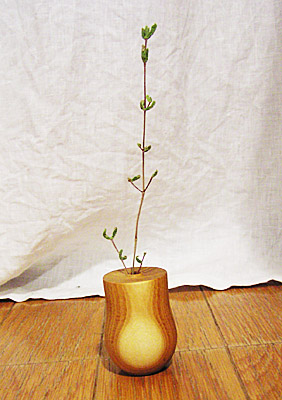 ウィードポット(weed pot)