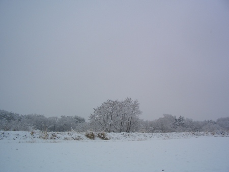安曇野に、この冬初の大雪です!