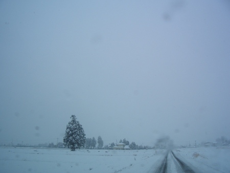 安曇野に、この冬初の大雪です!