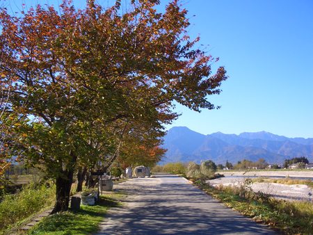 早春賦の紅葉