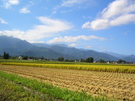 高齢者就業率トップの長野県