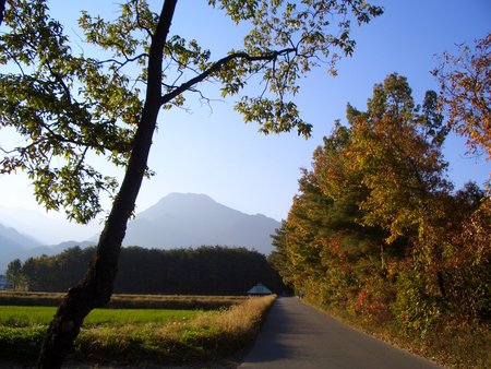 安曇野は紅葉真っ盛りです