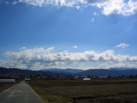 雨の翌日に、天使の羽根